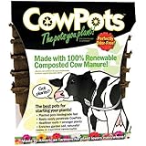 Plantable Seed-starter CowPots, Garden Pots For Healthier Plants, Made With Renewable Energy, 3 Inch Square Pots (Pack of 12)