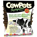 Plantable Seed-starter CowPots, Garden Pots For Healthier Plants, Made With Renewable Energy, 3 Inch Square Pots (Pack of 12)