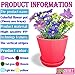QUIET 6 Candy Colors Fashion Stripes Plastic Flower Pots Planters With Saucers 4.6''