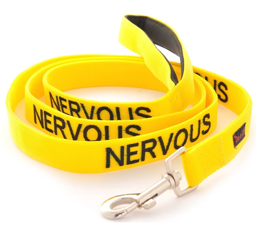 Dexil NERVOUS (Give Me Space) Yellow Colour Coded 60cm 1.2m 1.8m Luxury Neoprene Padded Handle Dog Leads PREVENTS Accidents By Warning Others Of Your Dog In Advance (1.8m)