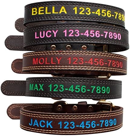 Personalized ID Dog Collars Custom Genuine Leather Pet Collar (Medium, Black)