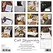 Cat Shaming 2017 Wall Calendar