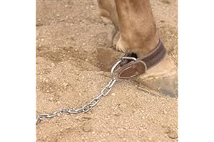 Schutz Brothers Shutz Brothers Kicking & Pawing Chain