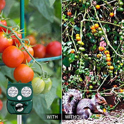 Professionale Repellente Gatti,Repellente Ultrasuoni Energia Solare IP66 Impermeabile a Frequenza Regolabile per Allontanare Animali 5 Modalità Regolabile Repeller Animali Ultrasound Repellente