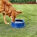 K&H Pet Products Thermal-Bowl Outdoor Heated Dog Bowl Blue 96 Ounces