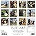 Just Labs 2018 Calendar
