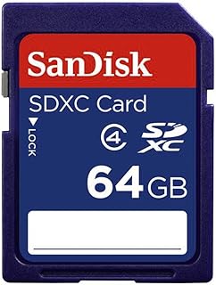 SanDisk Standard SD Class 4
