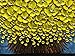 Desihum-Yellow Flowers Oil Painting Modern Floral Canvas Wall Art Hand Painted for Living Room Bedroom Dinning Room (24