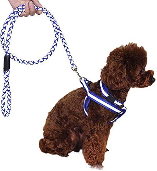 Friend&Dogd Correa para Perros Hyena Trailing Rope Traje de ...