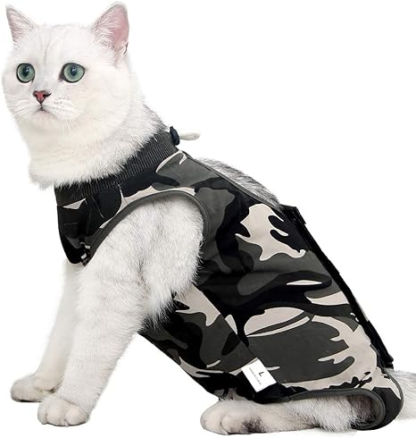 Costume De Recuperation De Chat Avec Anti Lechage Pour Plaies Abdominales Doux Vetements Pour Animaux De Compagnie Interieur Collier E Alternative Pour Animal De Compagnie Apres La Chirurgie Amazon Fr Animalerie