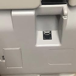 Redmon Extra Large 330 Pound Capacity Pet Scale