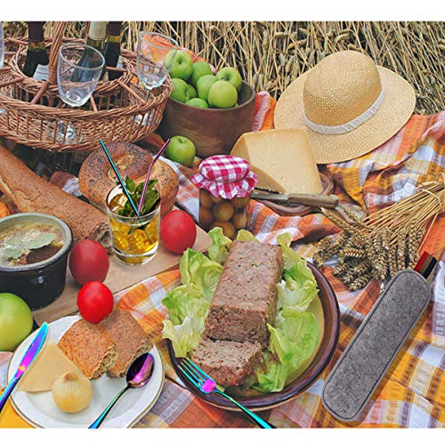 Rainbow Travel flatware set with Case Stainless Steel silverware