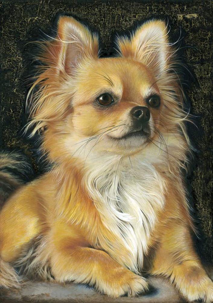5D Diamond Art Painting Full Drill Kits, Awesocrafts Chihuahua Dog Animals DIY Mosaic Cross Stitch for Adults (Chihuahua)