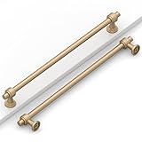 Coinkoly 10 Pack 10"(254mm) Champagne Bronze