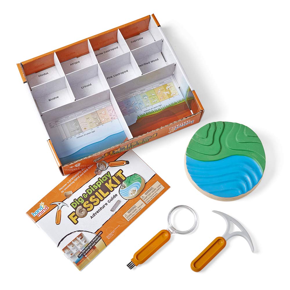 hand2mind Dig & Display Fossil Dig Kit, Fossil Display Case, 8 Real Fossils to Uncover, Dig Kits for Kids, Fossil Digging Kit for Kids, Excavation Kit for Kids, Fossil Science, Archeology Kits