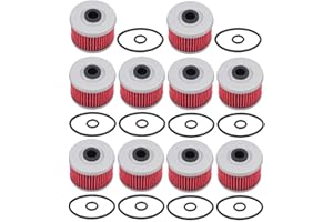 AloneGoer Set of 10, HF113 Oil Filter Compatible with Honda 15412-HM5-A10 Foreman 400EX 500 Rancher Pioneer Rubicon TRX420 ATC250ES ATC350X TRX250 TRX300 TRX350 TRX400 TRX420 TRX450 TRX500