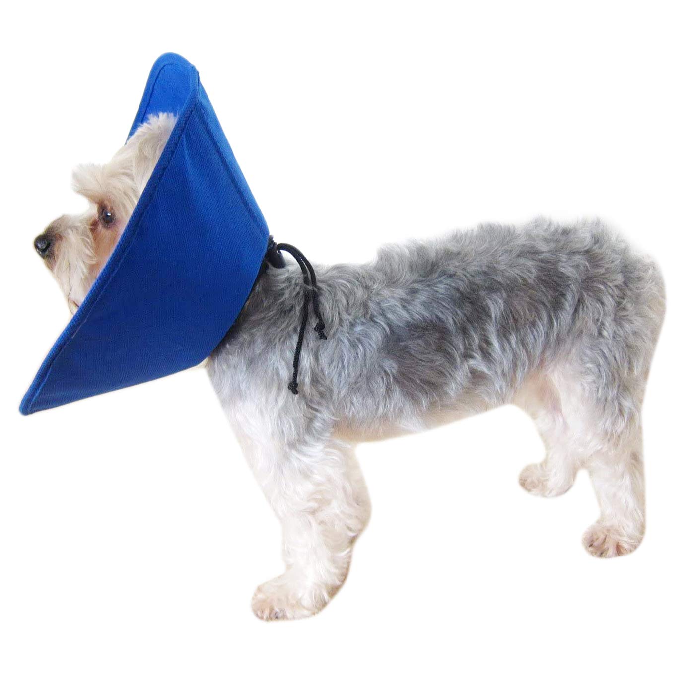 Alfie Pet Soft Recovery Collar (for Dogs & Cats) Color Blue Buy