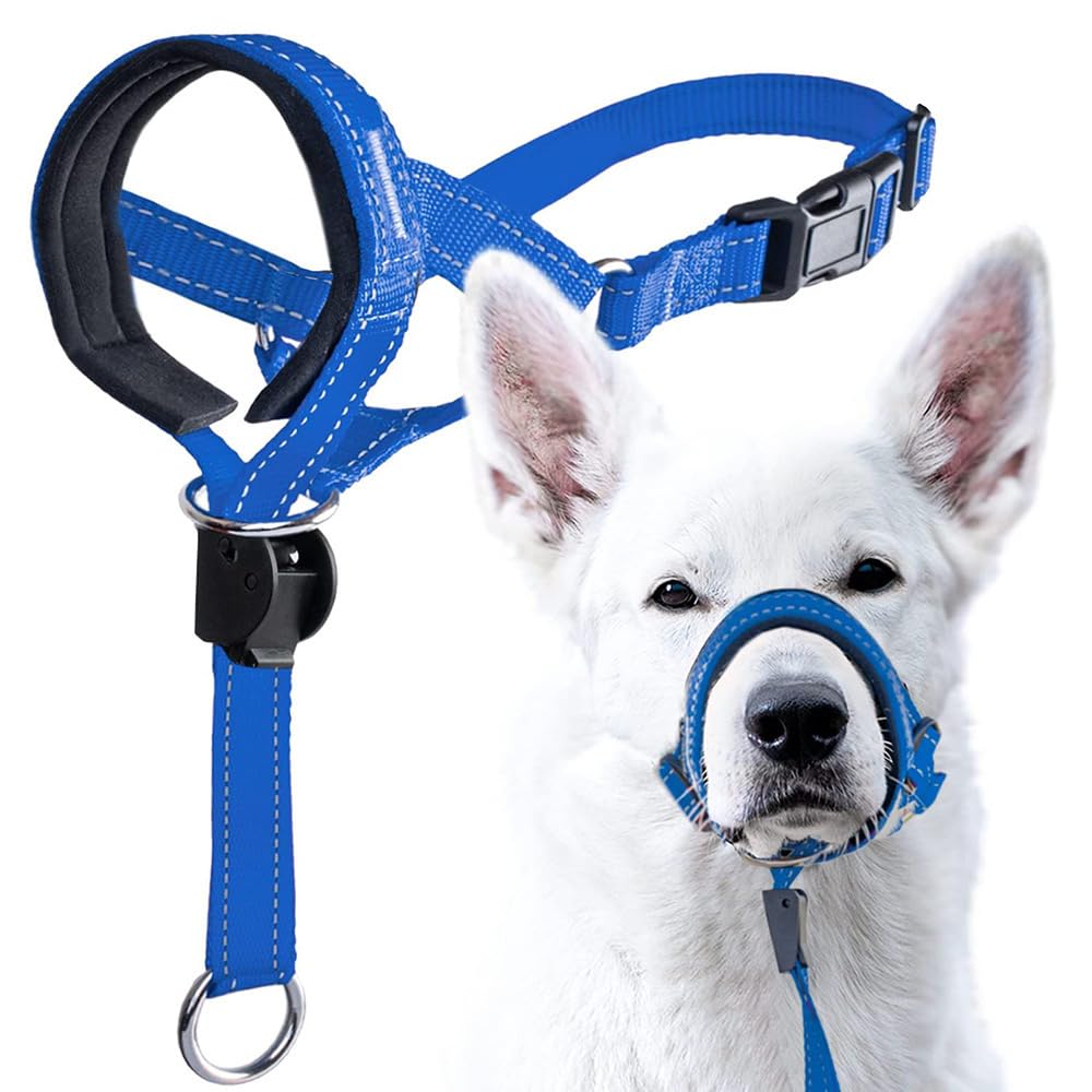Dog Muzzle Adjustable Leash Set with Breathable Mesh and Durable Nylon for Training, Barking, Biting, and Chewing