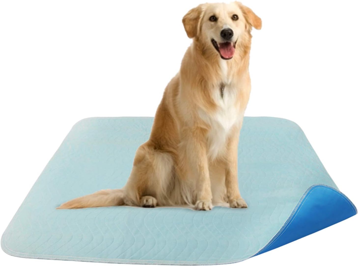 MASTERPETZ Washable Pee Pads for Dog, Reusable Fast Absorbing 2 Pack Extra Large 34" x 36" Puppy Training Pads, Quilted Whelping Pads for Incontinence Travel Bed Wetting Mattress Protection