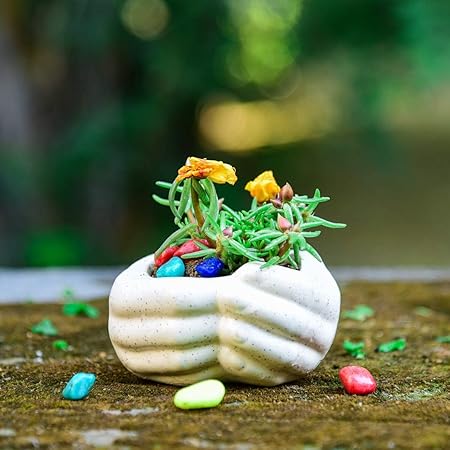 Lyallpur Stores Ceramic Planter Pot Joint Hand Shape - Small (White Color, 5 cm) Plant Not Included