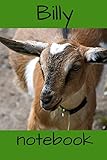 Billy Notebook: Adorable picture of a billy kid