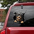 ChichuangK Funny Rottweiler crack 3D car sticker decoration, decal, SUV window glass sticker, personalized refrigerator toilet GJ0000152-899-1705191791