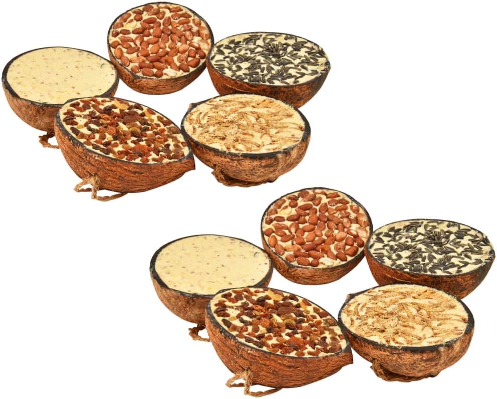 Festnight Nourriture pour Oiseaux Sauvages 10 pcs 290 g: Amazon.fr