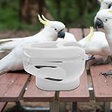 Pigeon Holder Feeding Fixer Parakeet Supplies for Racing Birds view 5