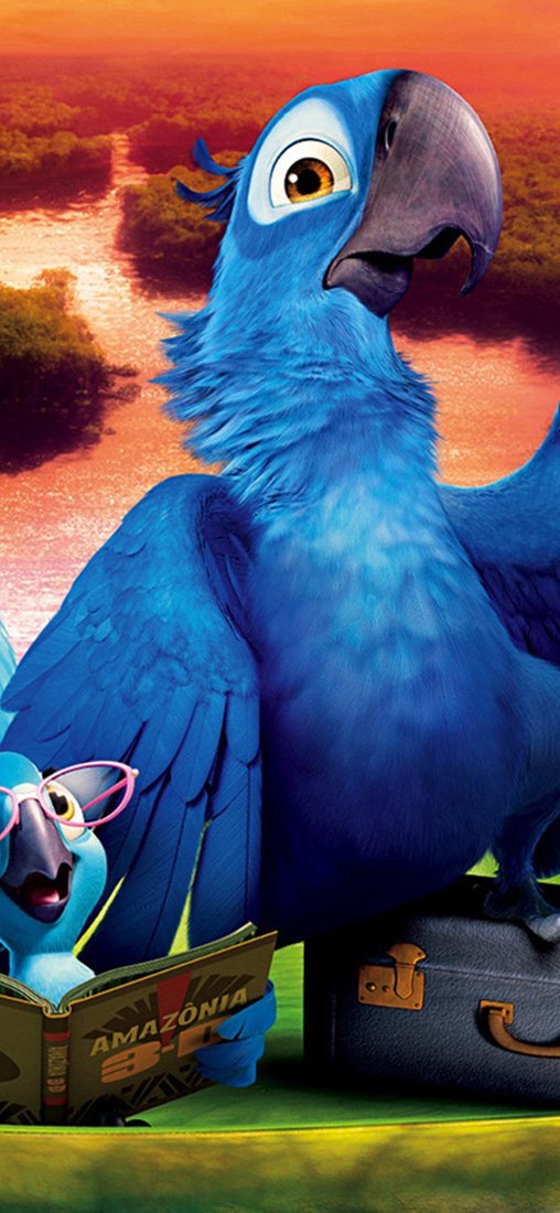 PeelitStickit Rio 2 Kids, vinyl