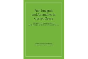 Path Integrals and Anomalies in Curved Space (Cambridge Monographs on Mathematical Physics)