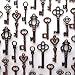 Salome Idea Skeleton Key Charm Set in Antique Copper (48 Charms) 6 Styles – Vintage Style Key Charms (Copper Color)