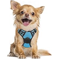 rabbitgoo Dog Harness, No-Pull Pet Harness with 2 Leash Clips, Adjustable Soft Padded Dog Vest, Reflective No-Choke Pet…
