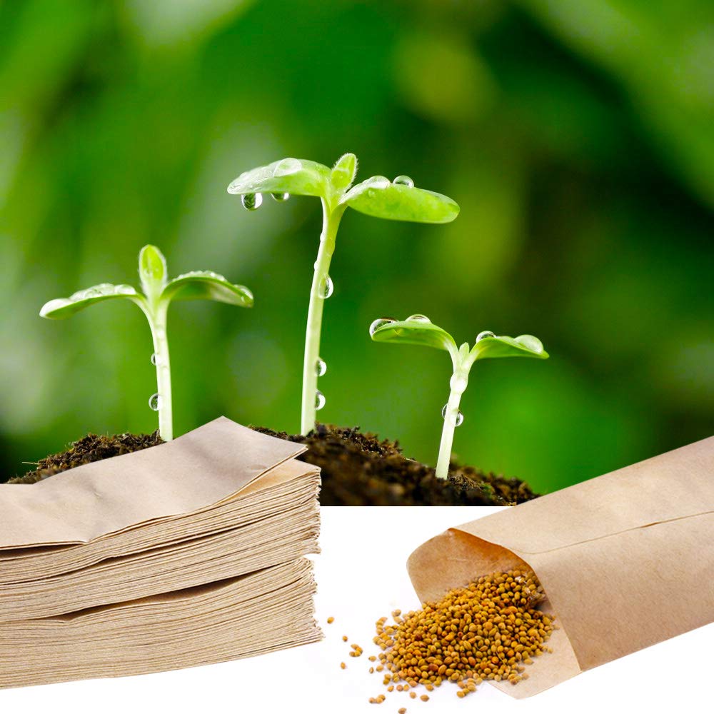 Tomkity 100pcs Pochette Kraft Graines Sachet Sac Mini Enveloppe en