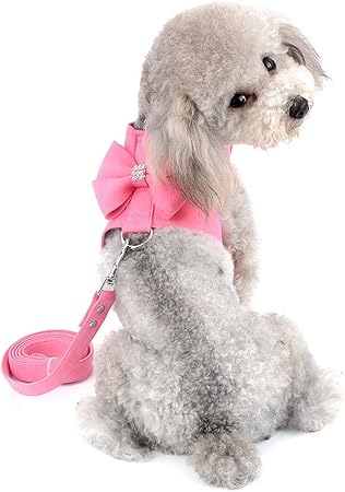 harness for small dogs amazon