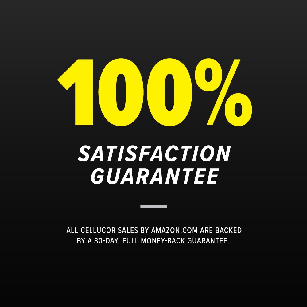 Cellucor Whey Protein Isolate Powder with BCAAs, Post Workout Recovery Drink, Gluten Free Low Carb Low Fat, Molten Chocolate, 28 Servings