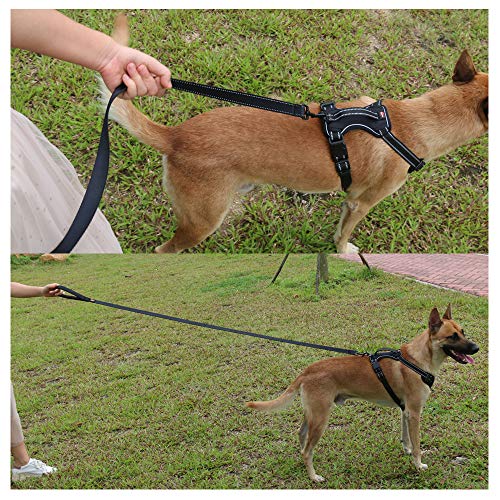 Dog Harness No Pull Dog Vest with Leash Adjustable & Reflective Pet Vest Harnesses and Leash Easy Control for Small Medium Large Dogs (Medium, Black)