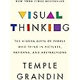 Visual Thinking: The Hidden Gifts of People Who Think in Pictures, Patterns, and Abstractions