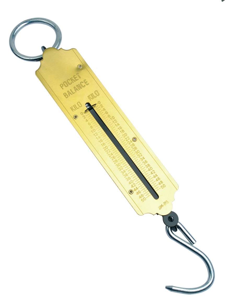 Brueder Mannesmann Werkzeuge M 813-100 Portable Spring Scale