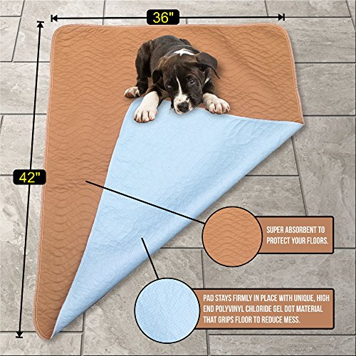 Hiyapup Washable Pee Pads for Dogs, 2Pack, Large (36”x42”), Premium