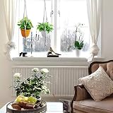 koitoy Macrame Plant Hanger Set 6 Pack White Indoor Outdoor 60/75/100cm view 4