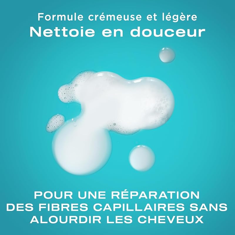 Shampooing Bond Protein Repair Cheveux secs et abîmés, 385 ml