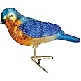Old World Christmas Bird Watcher Collection Glass Blown Ornaments for Christmas Tree Bluebird, 18043