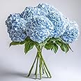 GlobalRose 10 Blue Hydrangea Flowers – Responsibly Sourced White Flowers – Hand-Picked Flowers Fresh Bouquet for Graduation, Anniversary, Birthday & Special Occasions