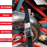 Master Lock Ratchet Strap 2.5m x 25mm UV Polyester 400kg view 3