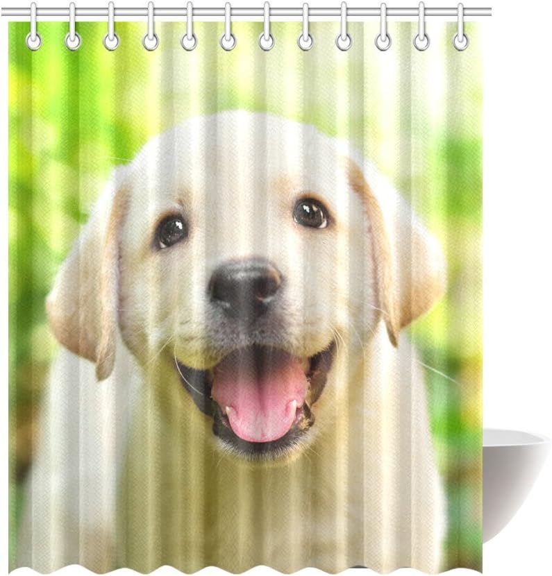 Amazon Com Interestprint Animal Dog Waterproof Shower Curtain Decor Funny Labrador Retriever Puppy Dog Fabric Bathroom Set With Hooks 72 Wide X 84 Height Inches Home Kitchen