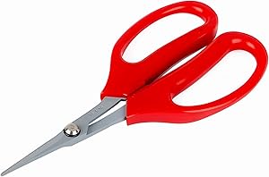 SKINNYBUNNY Garden Scissors, Stainless Steel Bonsai Scissors, Pruning Shears with 35mm Curved Blades, Non-Toxic PTFE Coating, Double Durability Enough for Cutting and Trimming Plants