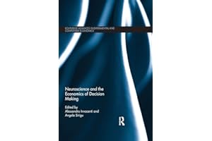 Neuroscience and the Economics of Decision Making (Routledge Advances in Experimental and Computable Economics)