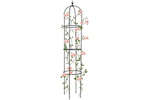 Trellis for Climbing Plants Outdoor, deaunbr Garden Plant Support Tall Tower Obelisk Vine Cages Plastic Coated Rustproof Metal Pipe Supports for Outdoor Indoor, Potted Plants, Tomato, Rose - 1 Pack