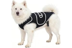 Dachshund Back Support | Adjustable Spinal Stability Wrap | Pet Back Support Vest - for Step Walking Jogging Home Outdoor Tra