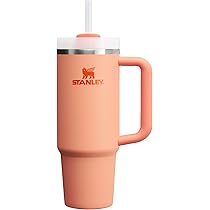 Stanley Quencher H2.0 Tumbler with Handle and Straw 30 oz